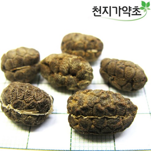 양춘사, 2개, 500g