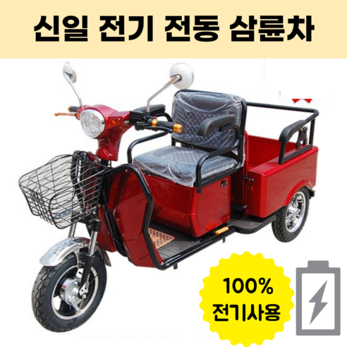 안전하고 편리한 이동, 친환경적인 가치: 삼륜전기오토바이로 시작하세요!