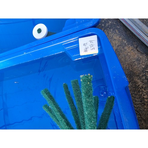 메다카에게 안락한 보금자리를 선물하세요.