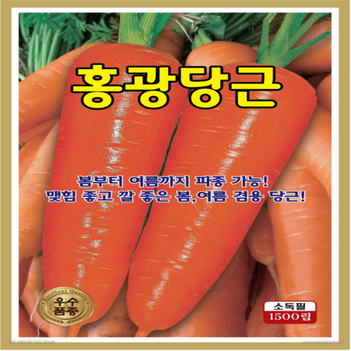 홍광당근의 달콤한 풍미와 풍부한 수확에 빠져보세요!