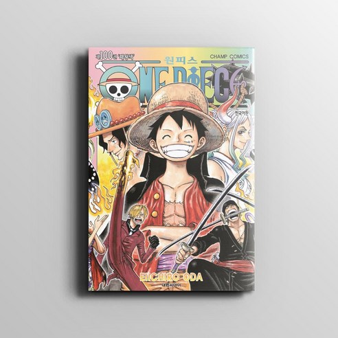 원피스 ONE PIECE 100권 (패왕색) 만화 책 / 오다 에이치로 / Eiichiro Oda / 대원씨아이