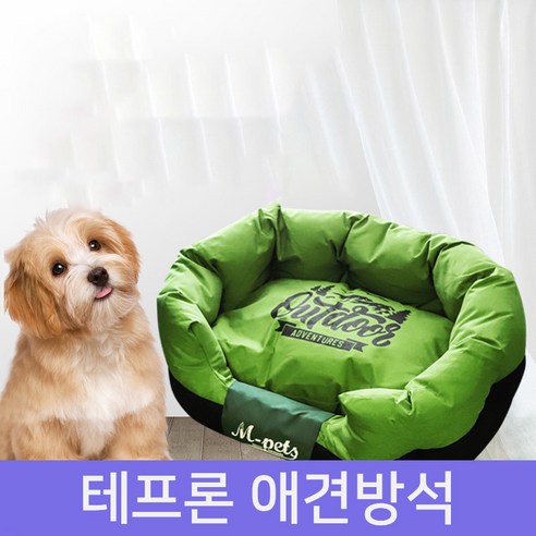 로코펫 애완동물 올시즌 테프론 애견방석, 1개, 그린