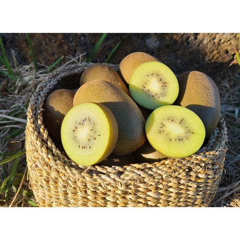 [산지직송] 제주 한라스위트 망고키위 고당도, 1박스, 5kg 소과 (75과 이상)