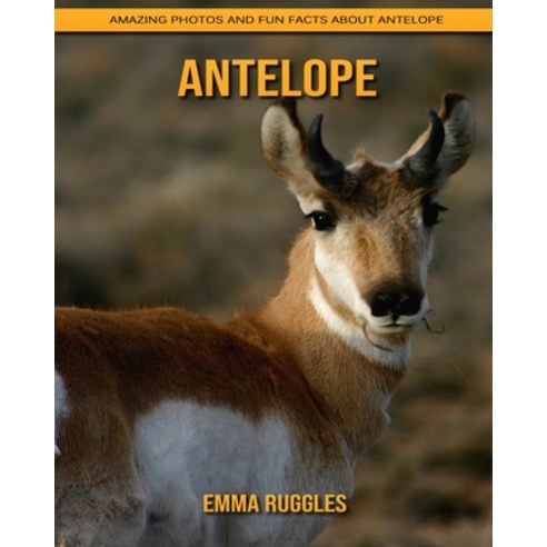 Antelope: Amazing Photos and Fun Facts about Antelope Paperback, Independently Published, English, 9798739332776
