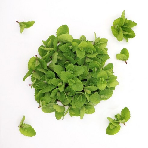 애플민트 생잎 작은 잎 50g/데코용은 비건으로 인증받은 유기농 상품이며, 데코용으로 사용되며, 신선한 맛과 모습을 가지고 있습니다.