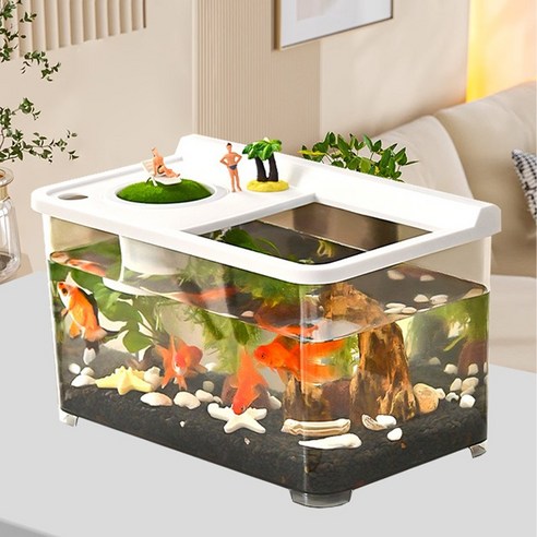 FONOW 어항으로 완성하는 나만의 힐링 라이프