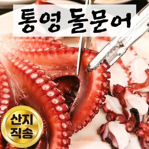 제철 통영 문어 자연산 돌문어 생문어 활문어 생물문어 통문어 제수용 제사용 1kg 2kg, 돌 문어 1kg, 1개