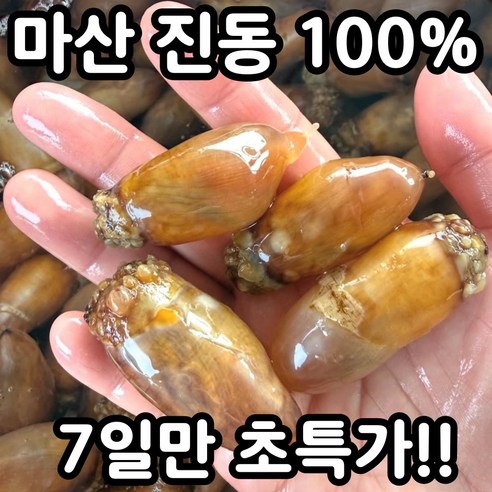 [하루30박스] 국산 생물 미더덕 미더덕회 A+급