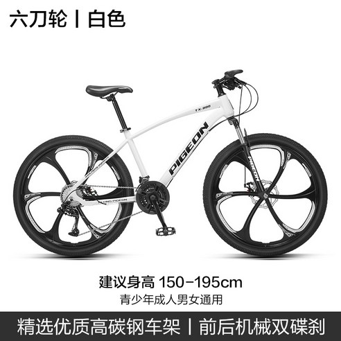 자전거 Flying Pigeon Bicycle 공식 플래그십 성인 남성, 26인치, 스포크 휠 - 그레이, 24단