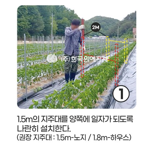 K 케이 고추망으로 텃밭 초보도 풍성한 수확을!