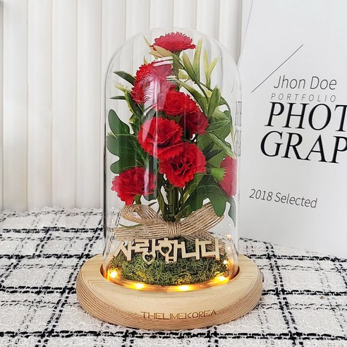 감사의 마음을 담은 빛, 더라임코리아 투게더 카네이션 유리돔 무드등 카네이션무드등