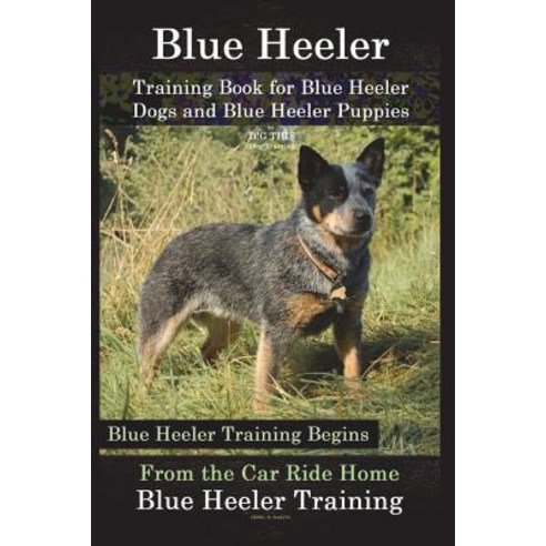 Blue Heeler Training Book for Blue Heeler Dogs and Blue Heeler Puppies By D!G THIS Dog Training: Blu... Paperback, Createspace Independent Publishing Platform
