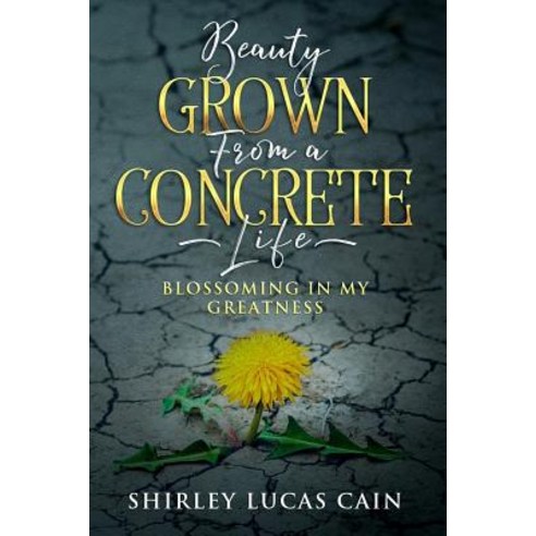 (영문도서) Beauty Grown from a Concrete Life: Blossoming in My Greatness Paperback, Absolute Author Publishing ..., English, 9781733718240