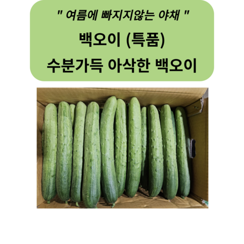 [임가네농산] 맛있는 국내산 오이 20개세트 백오이