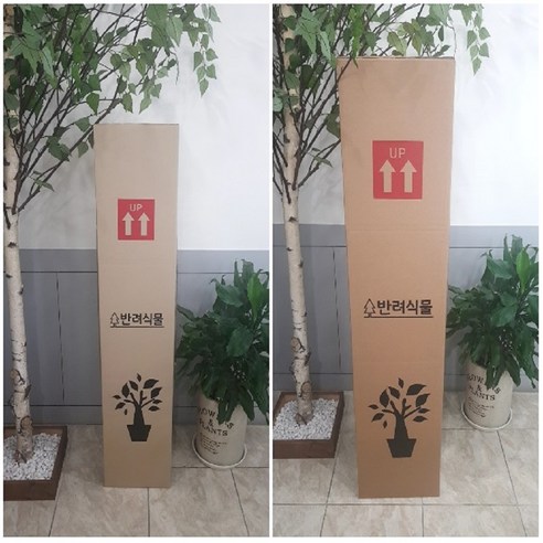 튼튼하고 다기능적인 박스365 화분 화초 박스