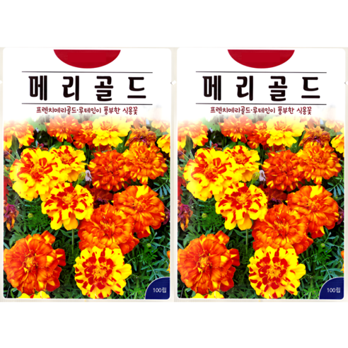 KS종묘 메리골드 100립 루테인 홀꽃 식용꽃 일년생 꽃씨 씨앗 종자, 2개