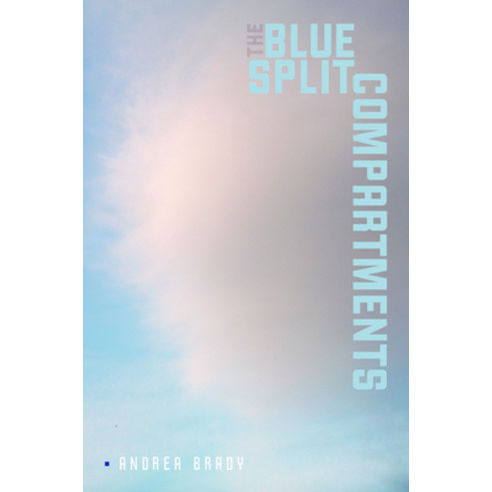The Blue Split Compartments Hardcover, Wesleyan University Press, English, 9780819580436