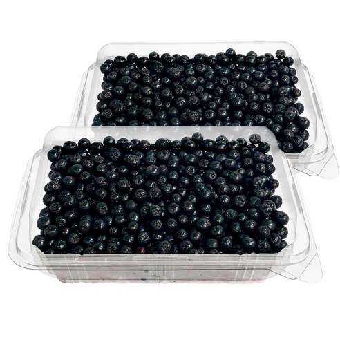 산들해 아로니아 생과 꼭지제거 냉동, 아로니아급냉(꼭지제거) 2kg, 1개