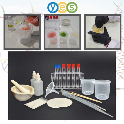 집에서 즐기는 신비로운 DNA 추출 실험!