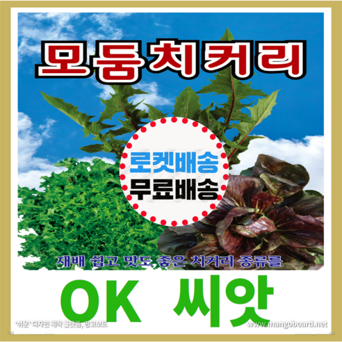 [OK씨앗] [모둠치커리] 모둠치커리씨앗 종자(오케이씨앗), 1개