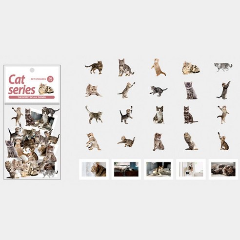 귀여운 고양이 6종 스티커 일러스트 다꾸 취미 폰꾸 냥이 칼선 stiker, 1세트, 캣_레드