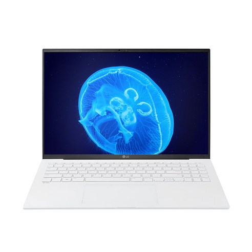 LG전자 2025 그램 프로 AI 16 코어Ultra7 방문설치, 타이탄 블루, 1TB, 32GB, WIN11 Home, 16Z90TR-SD7WK