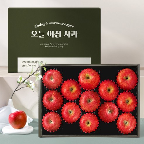 eTV 오늘아침사과 24년 햇 경북 세척사과 3kg 13과