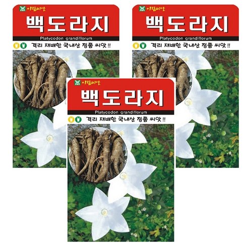 백도라지 씨앗 3개입, 1개