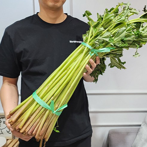 [오케이나우ㅣ인기상품] 자연의 선물, 머위대의 풍부함을 맛보세요 [OKNOWㅣ추천상품]