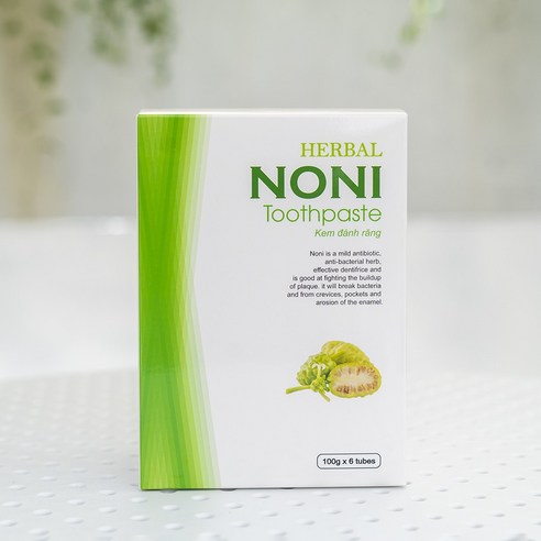 여행의 기억을 담은 잇몸 케어