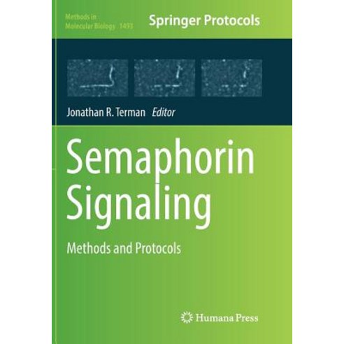 (영문도서) Semaphorin Signaling: Methods and Protocols Paperback, Humana, English, 9781493982035
