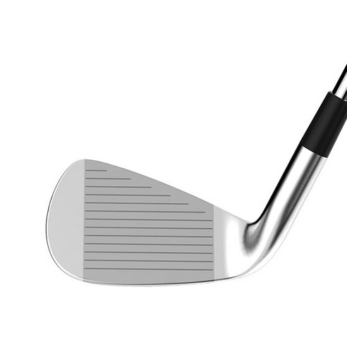 탁월한 내구성과 정확성 있는 샷을 위한 데이비드 아이언세트