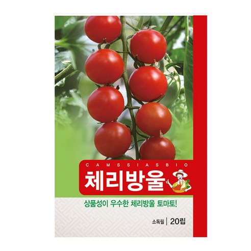 체리방울토마토 씨앗, 2개