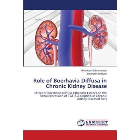 (영문도서) Role of Boerhavia Diffusa in Chronic Kidney Disease Paperback, LAP Lambert Academic Publis..., English, 9786207477470