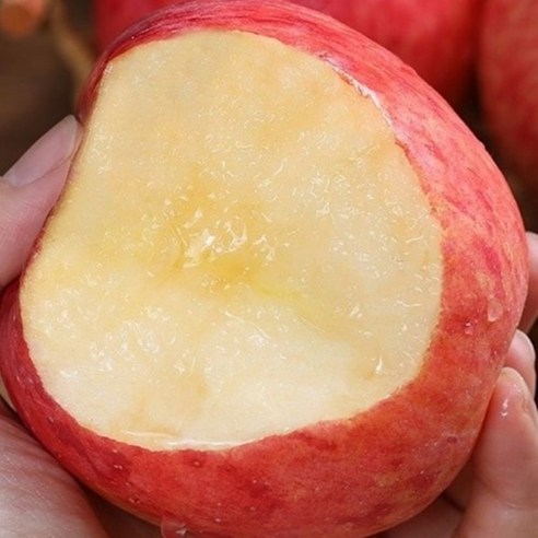 신선한 맛과 뛰어난 가성비