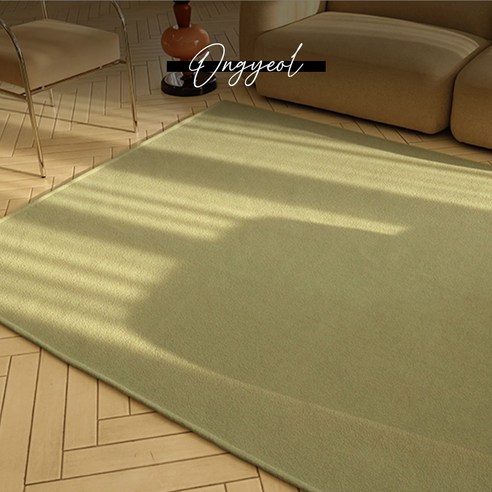 아늑한 집안을 위한 완벽한 러그