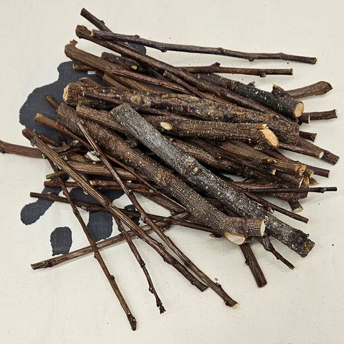 복숭아나무가지, 답답한 일상에 긍정 에너지를 불어넣다.