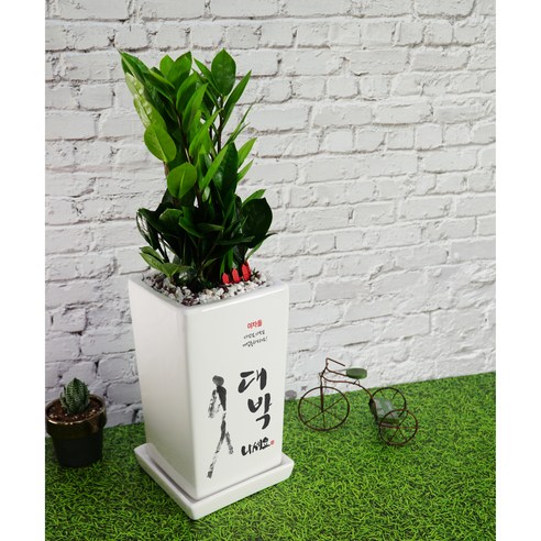 하시는 모든 일이 대박 나세요