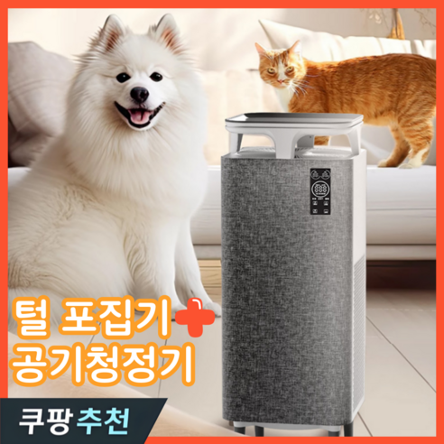 깨끗하고 알레르기 없는 집을 위한 궁극적 솔루션