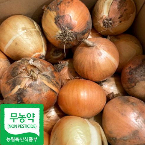 국내산 무농약 햇 양파, 중, 1박스, 3kg