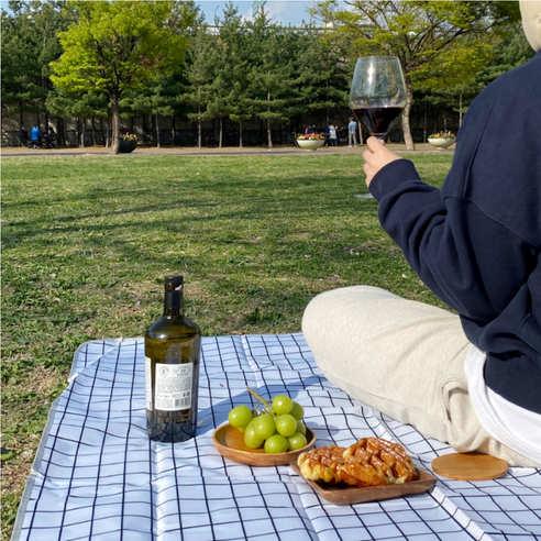 피크닉 돗자리 매트 방수 캠핑 대형 미니 야외 체크 휴대용, 브라운