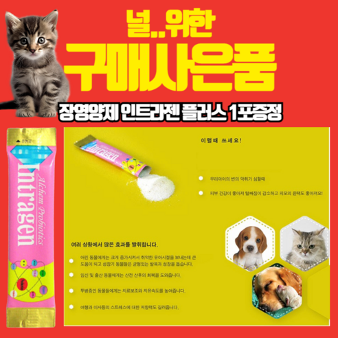 고양이의 빛나는 피모를 위한 최적의 선택
