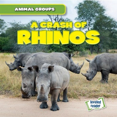 (영문도서) A Crash of Rhinos Paperback, Gareth Stevens Publishing, English, 9781538263495