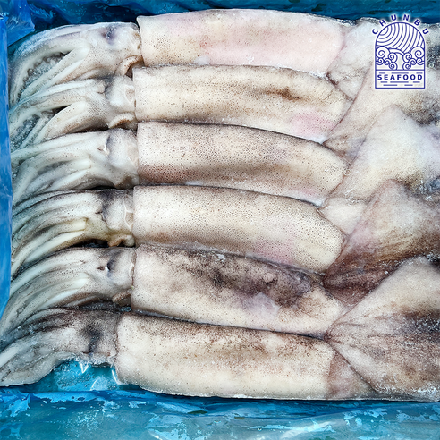 풍성한 바다의 맛, 냉동 통오징어로 식탁을 풍요롭게!