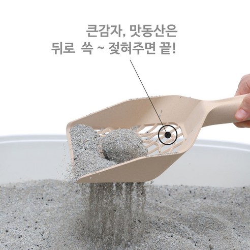 스파이더스쿱 하나로 집사와 고양이 모두를 행복하게