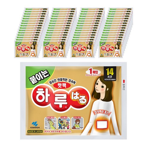 하루핫팩 붙이는 하루 찜질팩 43g, 60개입