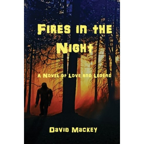(영문도서) Fires in the Night: A Novel of Love and Legend Paperback, Weft and Write, English, 9781943119134