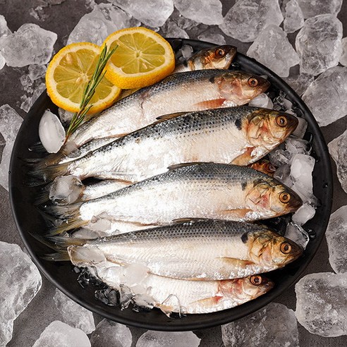 [자연맛남] [산지직송] 고소한 여수 전어 2kg 30마리내외(구이용/급냉), 1개