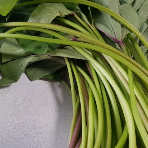 아삭하고 영양가 풍부한 푸디앤 비진도 고구마순