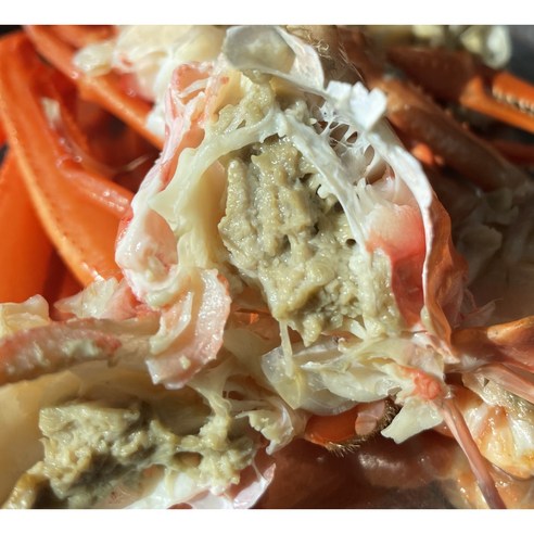 산지직송 프리미엄 박달홍게: 신선함과 품질의 보장